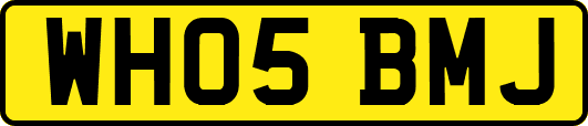 WH05BMJ