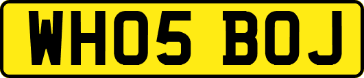 WH05BOJ