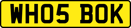 WH05BOK