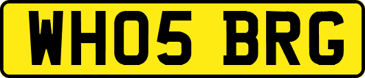 WH05BRG