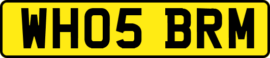 WH05BRM