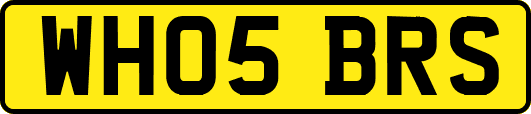 WH05BRS