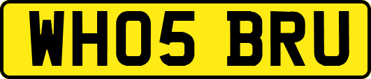 WH05BRU