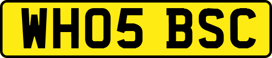 WH05BSC