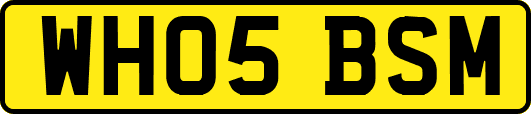 WH05BSM
