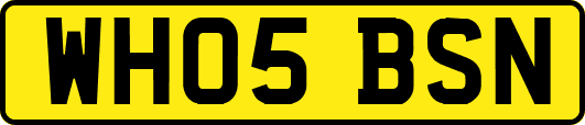 WH05BSN