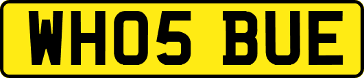 WH05BUE