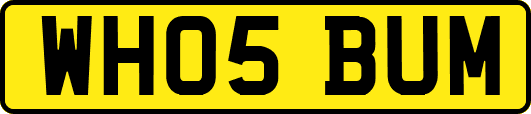 WH05BUM