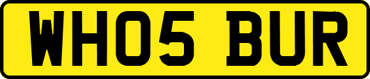 WH05BUR