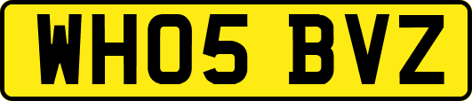 WH05BVZ