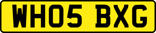 WH05BXG