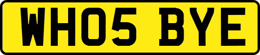 WH05BYE