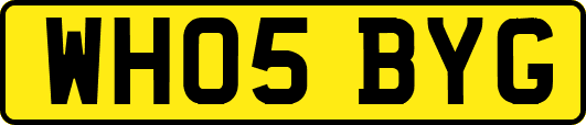 WH05BYG