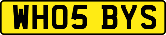 WH05BYS