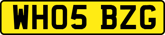 WH05BZG