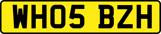 WH05BZH