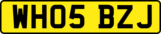 WH05BZJ