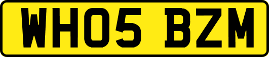 WH05BZM