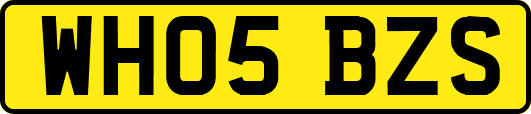 WH05BZS