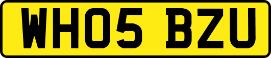WH05BZU