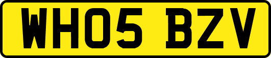 WH05BZV