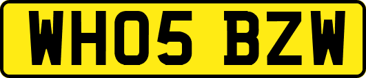 WH05BZW