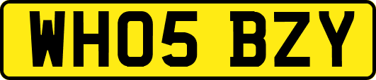 WH05BZY