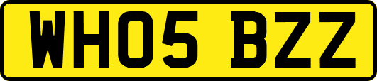 WH05BZZ