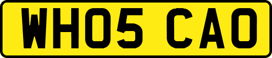 WH05CAO