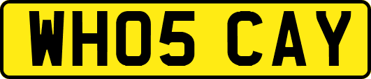 WH05CAY