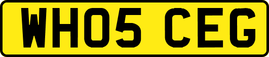 WH05CEG