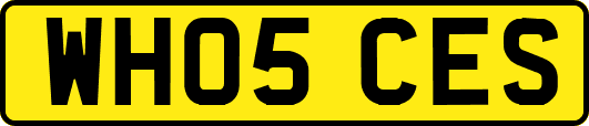 WH05CES