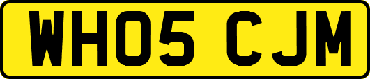 WH05CJM