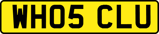 WH05CLU