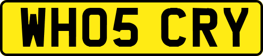 WH05CRY