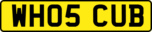 WH05CUB