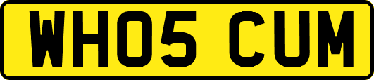 WH05CUM