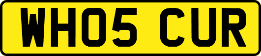 WH05CUR