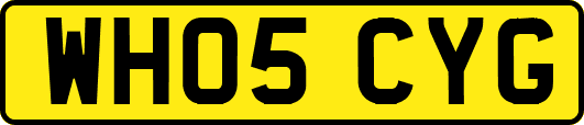 WH05CYG