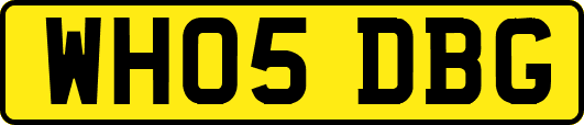WH05DBG