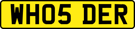 WH05DER