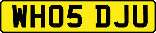 WH05DJU