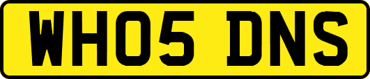 WH05DNS