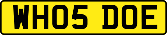 WH05DOE