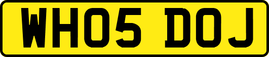 WH05DOJ