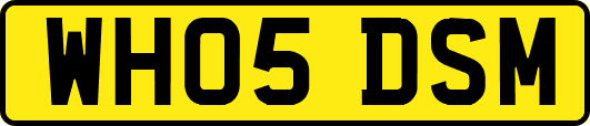 WH05DSM