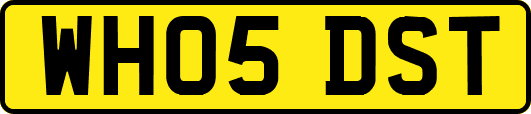 WH05DST