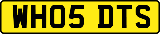 WH05DTS