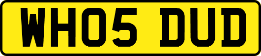 WH05DUD