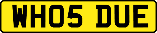 WH05DUE